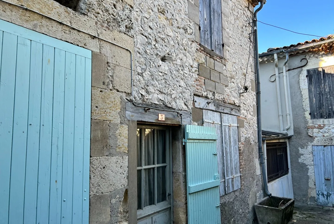 Maison à Bourg-de-Visa de 174 m² pour investissement ou usage professionnel 