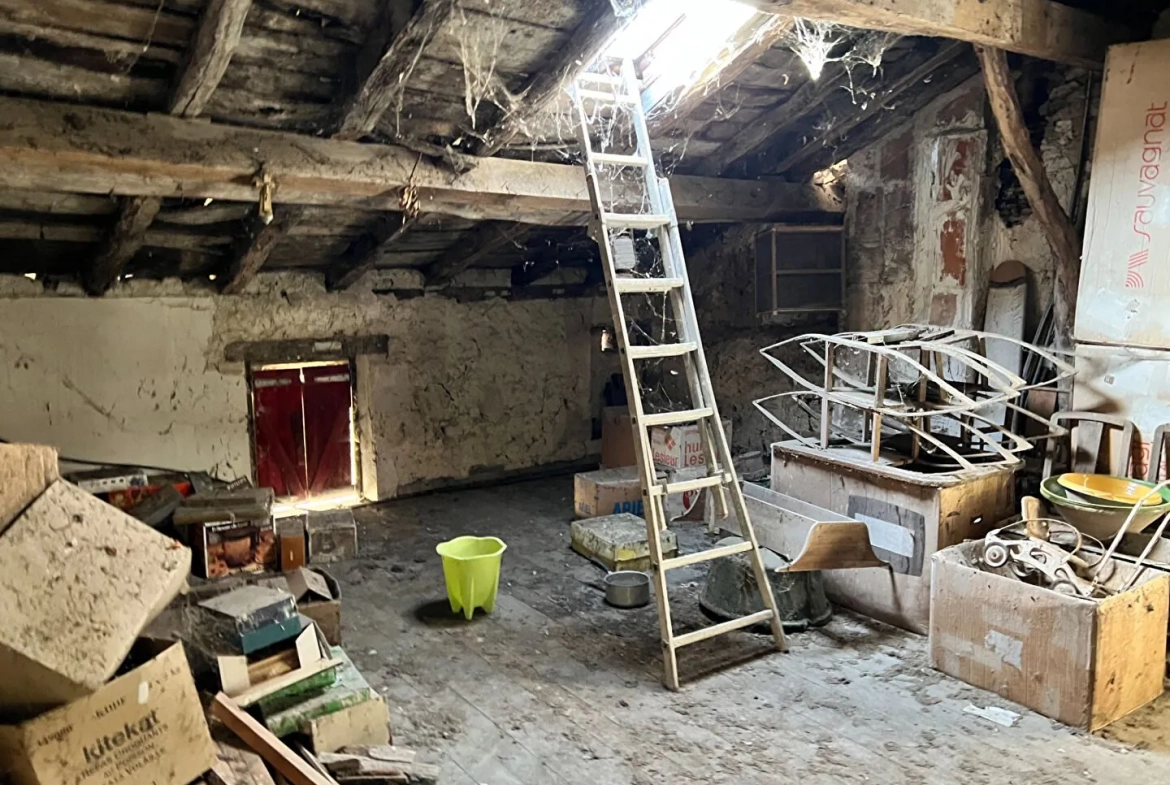 Maison à Bourg-de-Visa de 174 m² pour investissement ou usage professionnel 