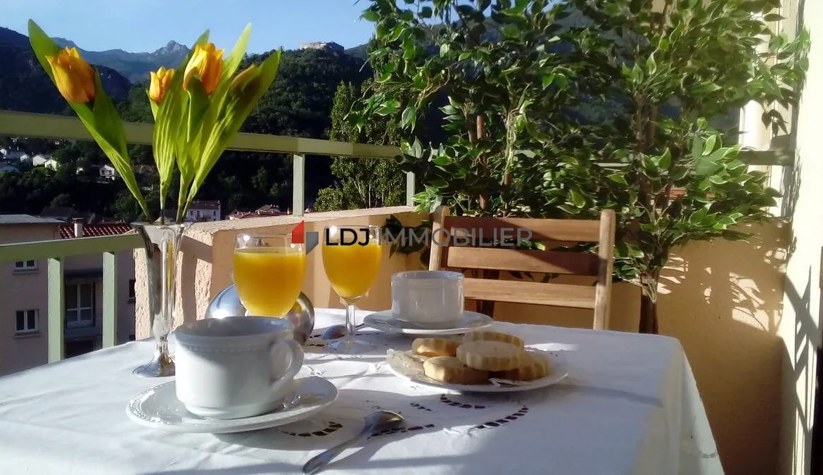 Bel appartement lumineux meublé avec vue à Amélie-les-Bains 