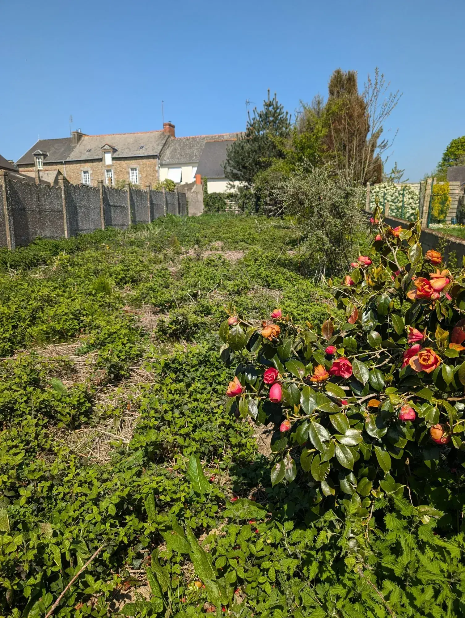 Maison à vendre à MERDRIGNAC - 63,5 m², jardin, travaux à prévoir 