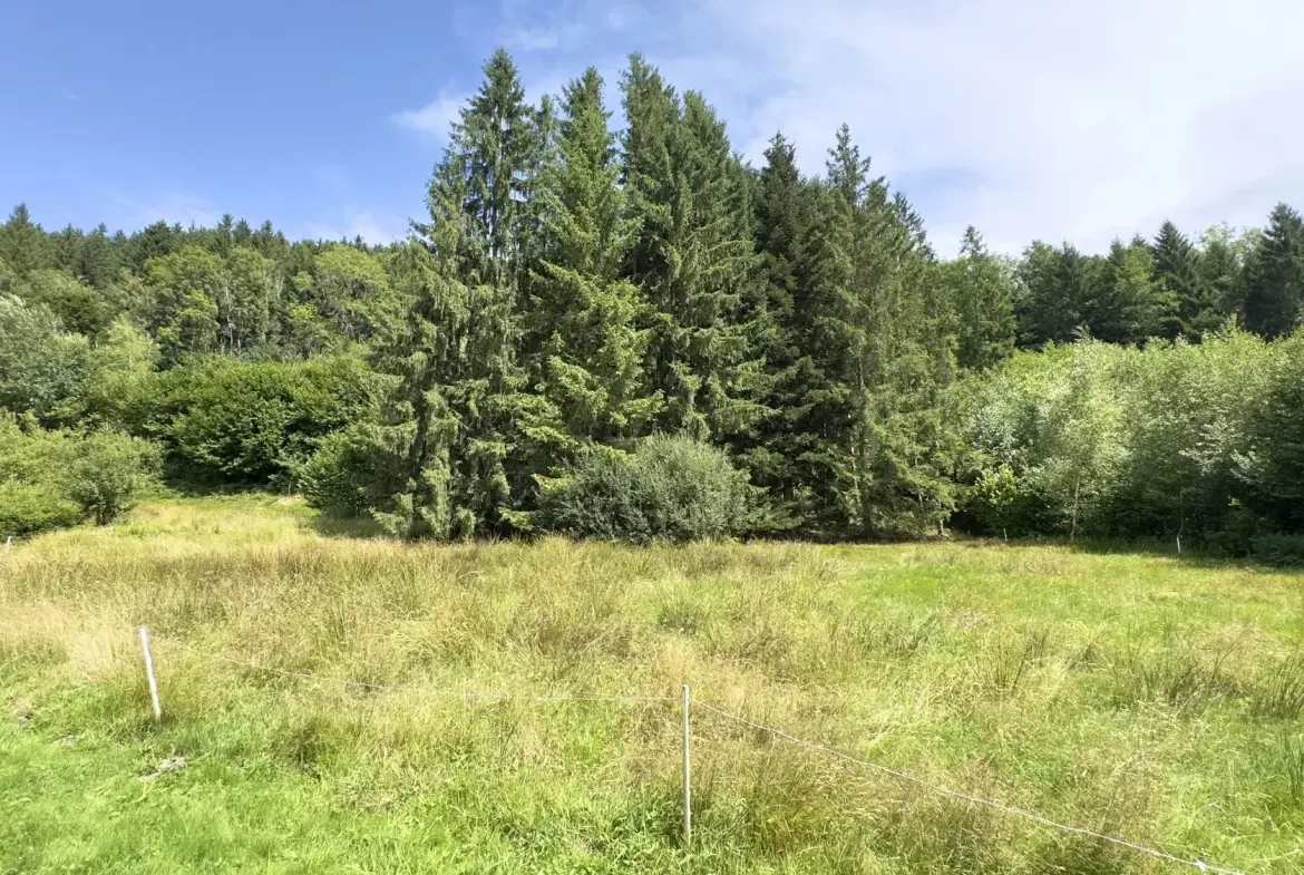 Chalet avec étang privé et terrain constructible à Ban-sur-Meurthe-Clefcy 