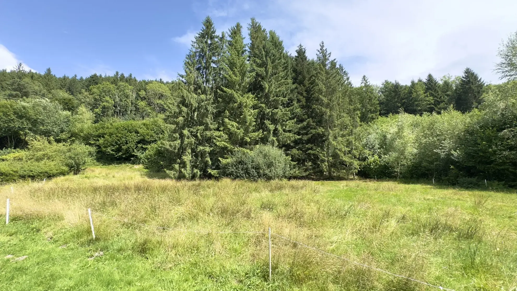 Chalet avec étang privé et terrain constructible à Ban-sur-Meurthe-Clefcy 