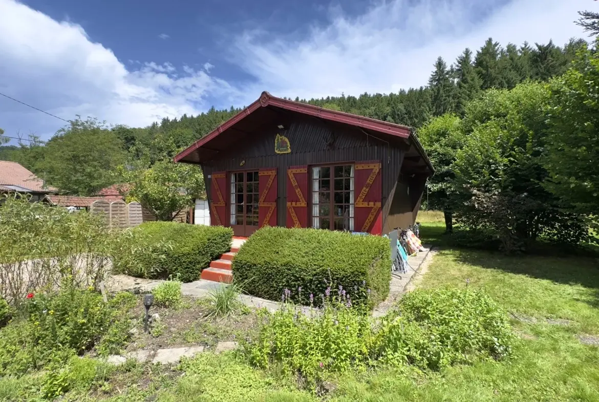 Chalet avec étang privé et terrain constructible à Ban-sur-Meurthe-Clefcy 