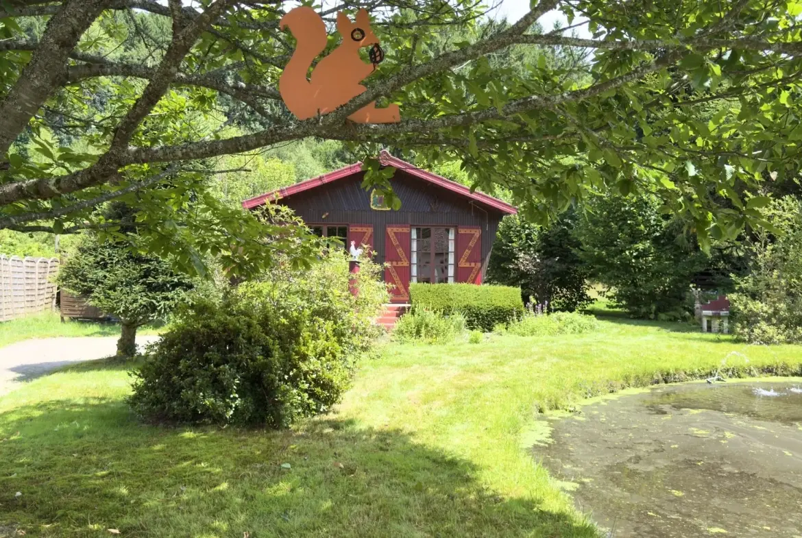 Chalet avec étang privé et terrain constructible à Ban-sur-Meurthe-Clefcy 