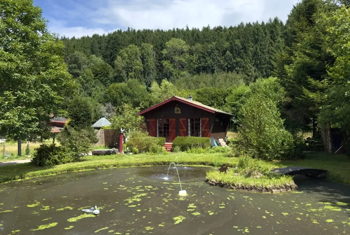 Chalet avec étang privé et terrain constructible à Ban-sur-Meurthe-Clefcy 