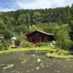 Chalet avec étang privé et terrain constructible à Ban-sur-Meurthe-Clefcy