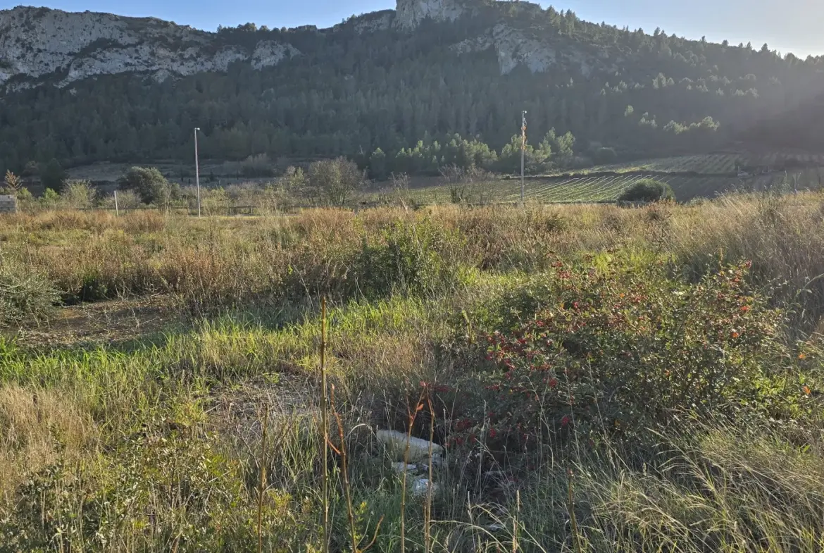 Terrain à vendre à Tautavel - 509 m2 constructible, vue dégagée, emplacement calme 