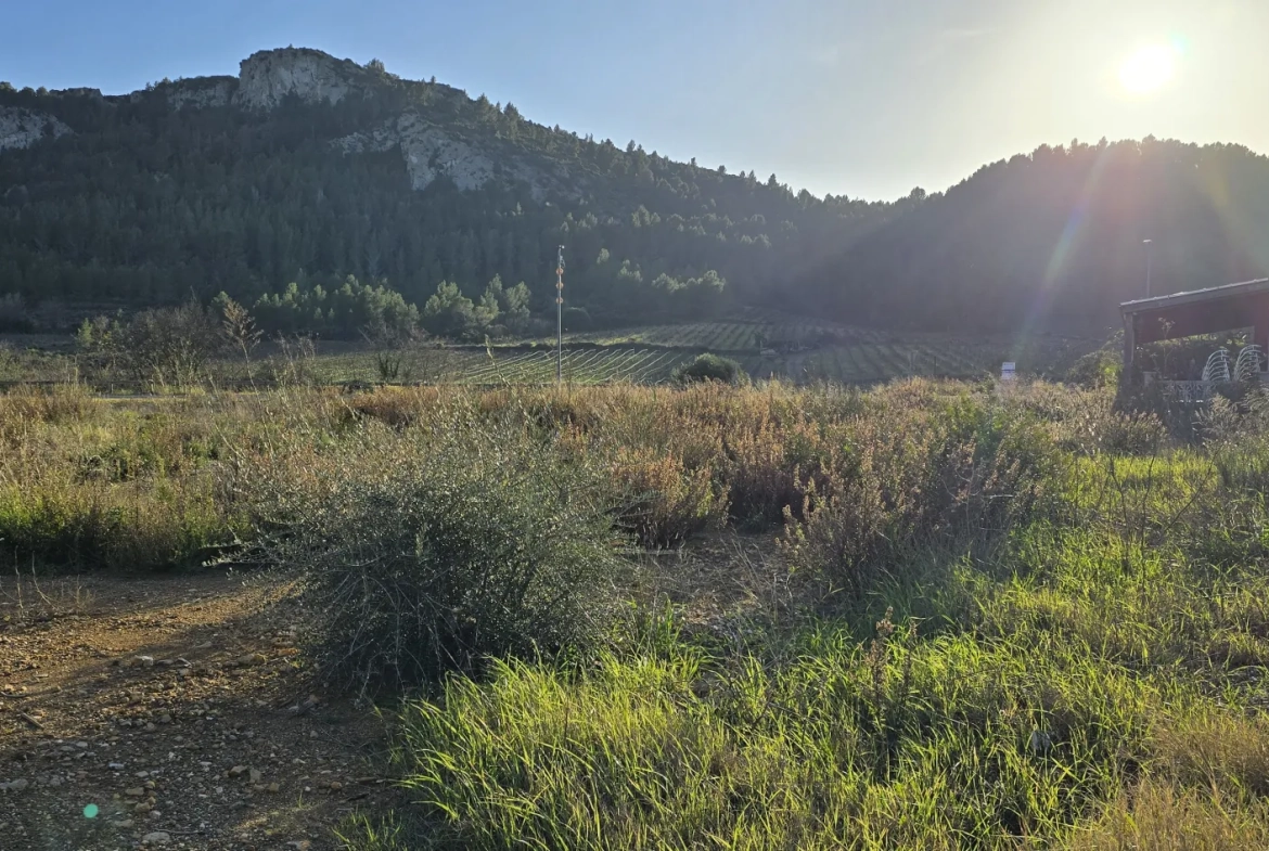 Terrain à vendre à Tautavel - 509 m2 constructible, vue dégagée, emplacement calme 