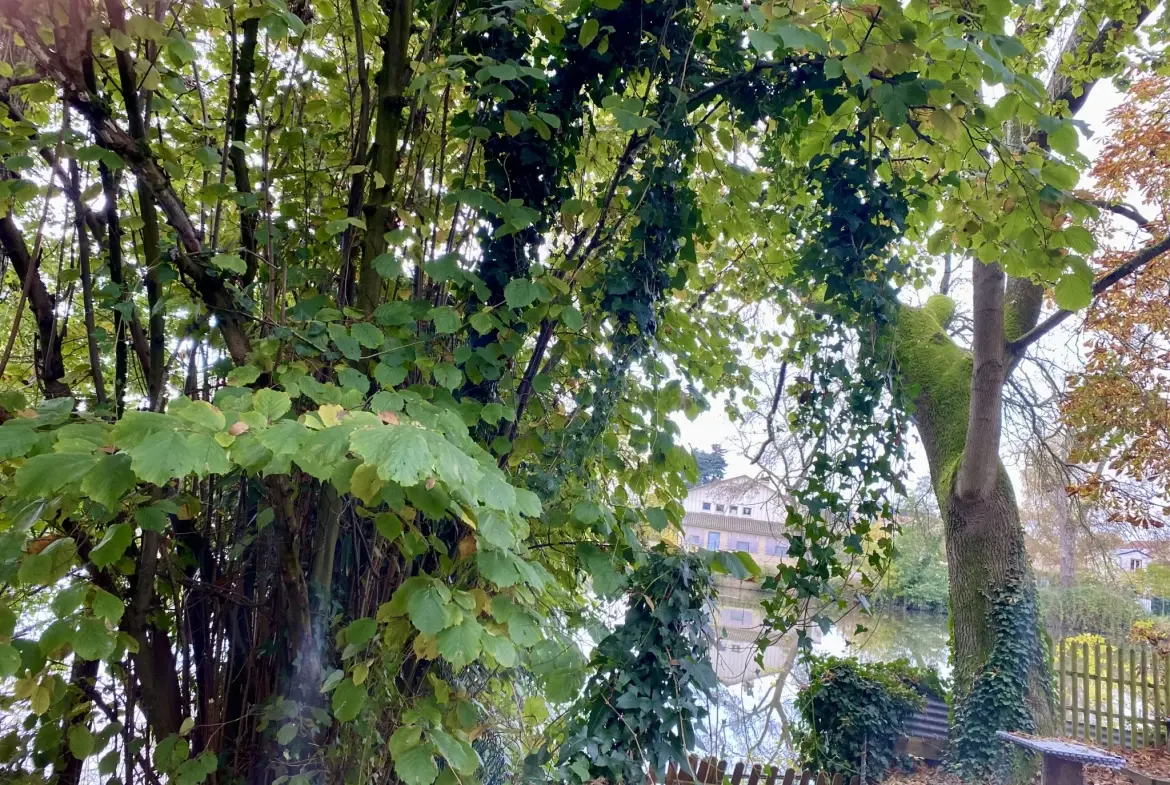 Maison de ville avec grand terrain et vue sur la Sarthe au Mans 