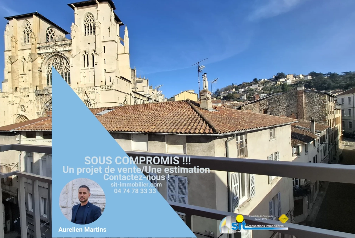 Vente Appartement T2 42m² Vue Cathédrale Vienne 