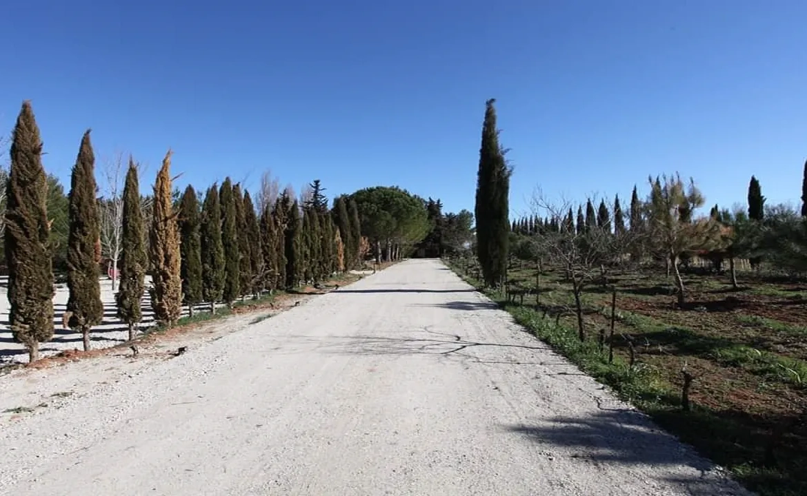 Terrain de loisir de 100 m² à Mudaison avec services et cadre bio 