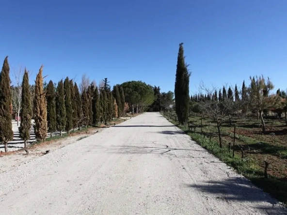 Terrain de loisir de 100 m² à Mudaison avec services et cadre bio