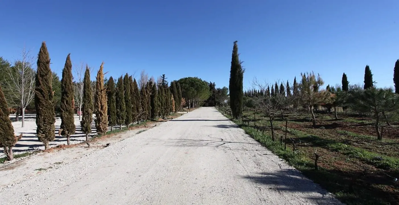 Terrain de loisir de 100 m² à Mudaison avec services et cadre bio 
