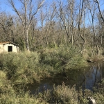 À vendre terrain de 1488 m² avec petit mazot à Mauguio, site protégé