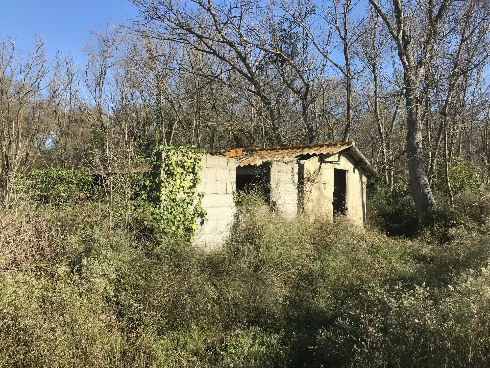À vendre terrain de 1488 m² avec petit mazot à Mauguio, site protégé 