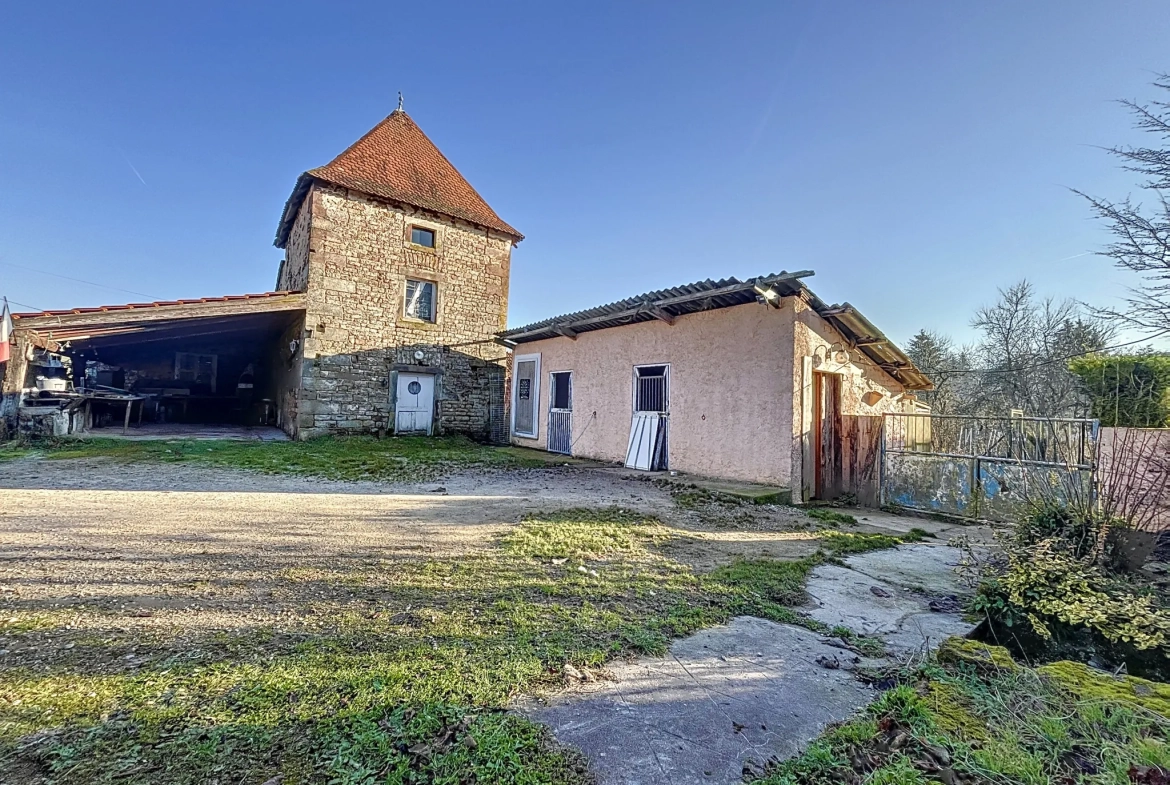 Maison à rénover à Uzémain avec piscine et grand terrain - Charmante résidence historique 