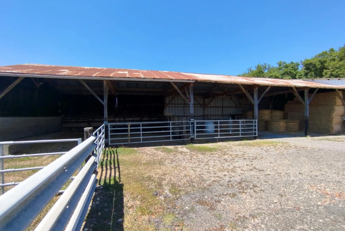Propriété agricole à vendre à Saint-Rémy-en-Rollat - 8 hectares avec habitation et hangars 