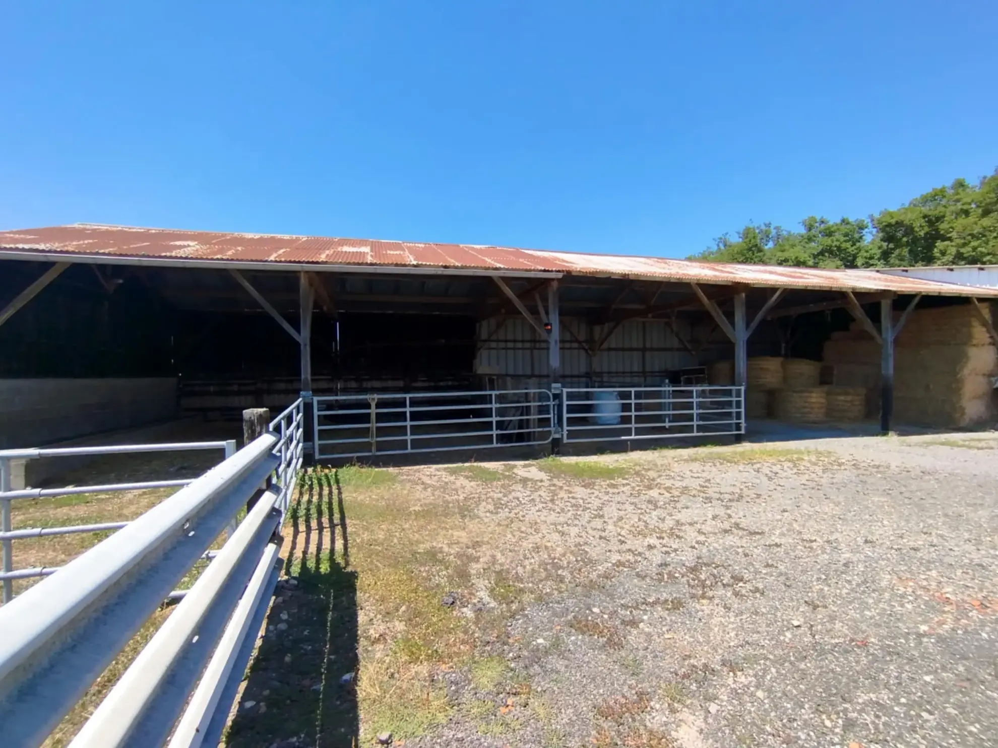 Propriété agricole à vendre à Saint-Rémy-en-Rollat - 8 hectares avec habitation et hangars 