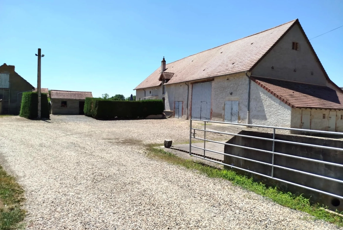 Propriété agricole à vendre à Saint-Rémy-en-Rollat - 8 hectares avec habitation et hangars 