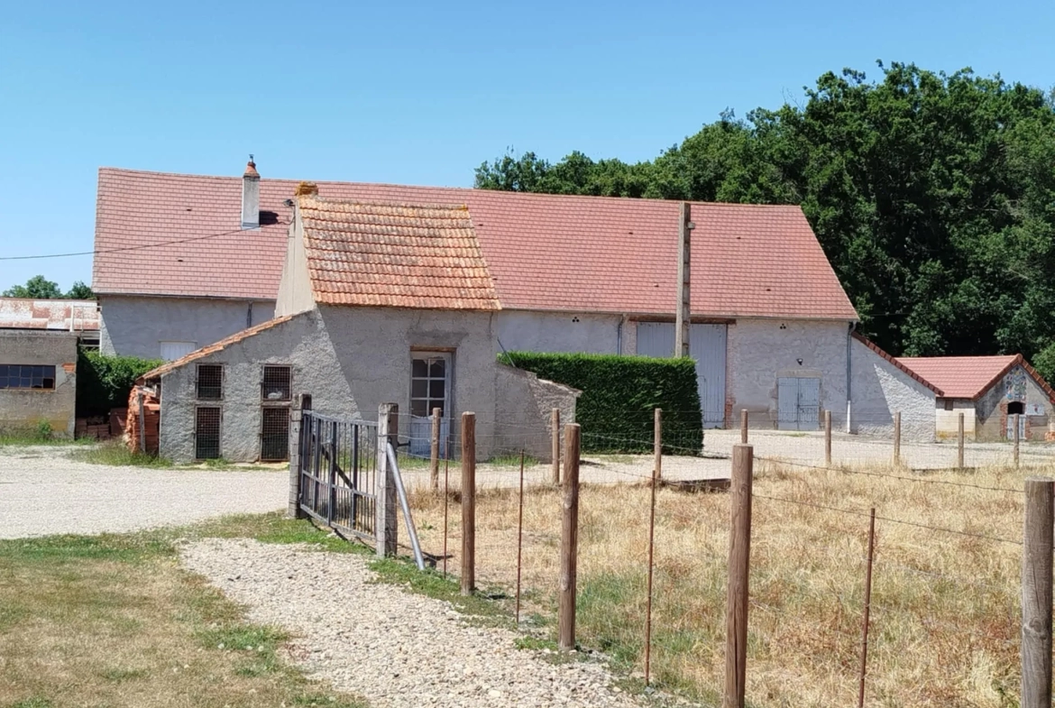 Propriété agricole à vendre à Saint-Rémy-en-Rollat - 8 hectares avec habitation et hangars 