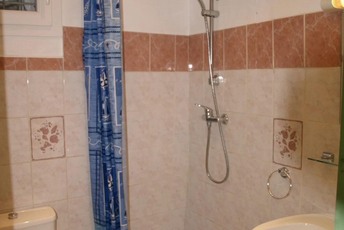 Immeuble de rapport à vendre à Saint Affrique - 4 appartements avec bon rendement 