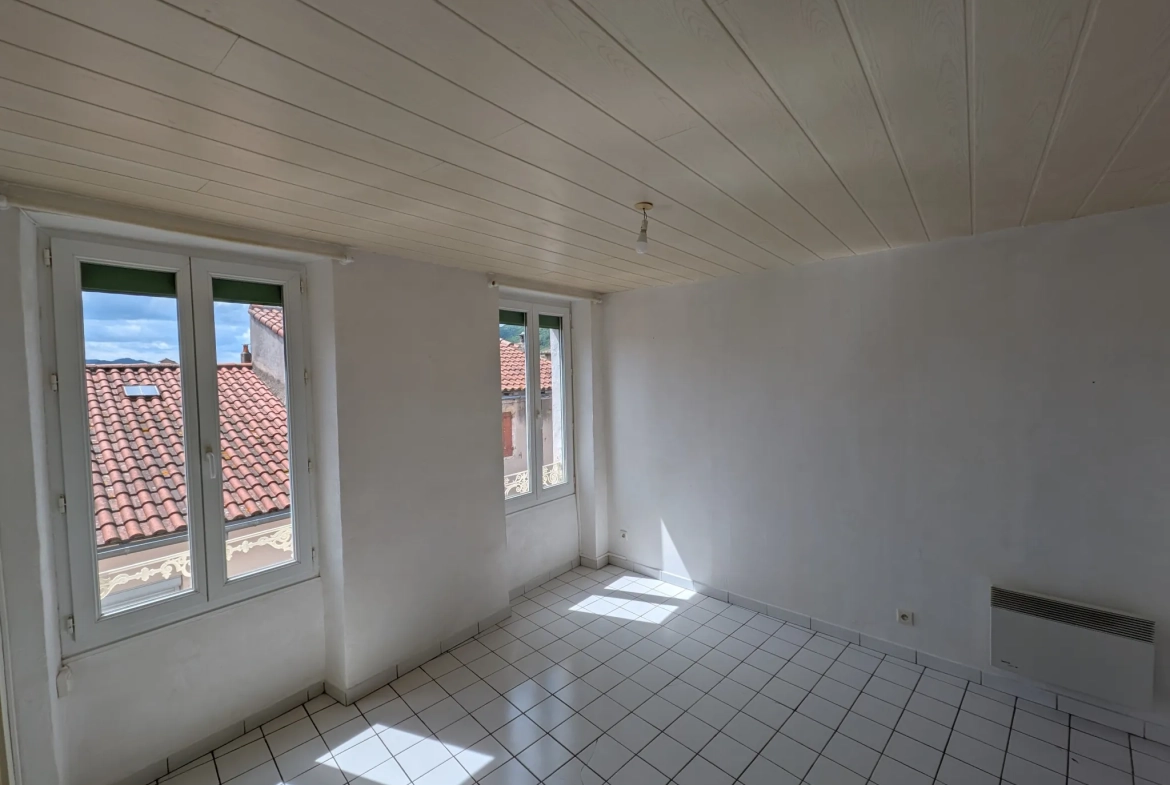 Immeuble de rapport à vendre à Saint Affrique - 4 appartements avec bon rendement 