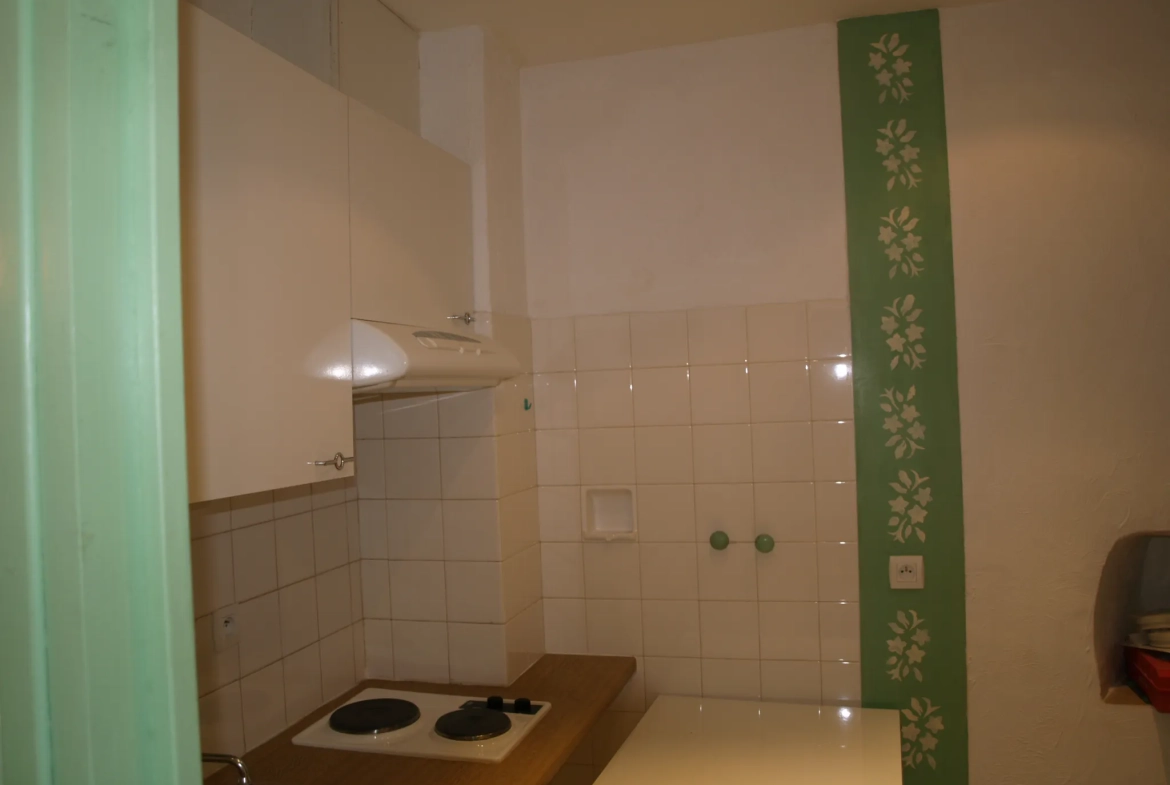 Immeuble de rapport à vendre à Saint Affrique - 4 appartements avec bon rendement 