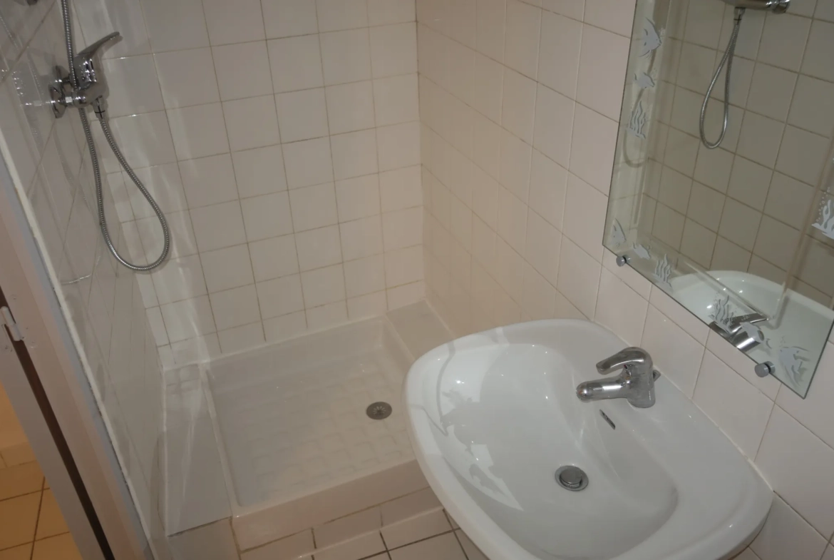 Immeuble de rapport à vendre à Saint Affrique - 4 appartements avec bon rendement 