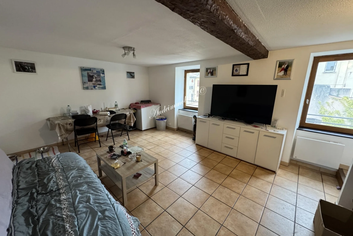 Appartement T3 loué à vendre à Limoux - 53,77 m², centre-ville 