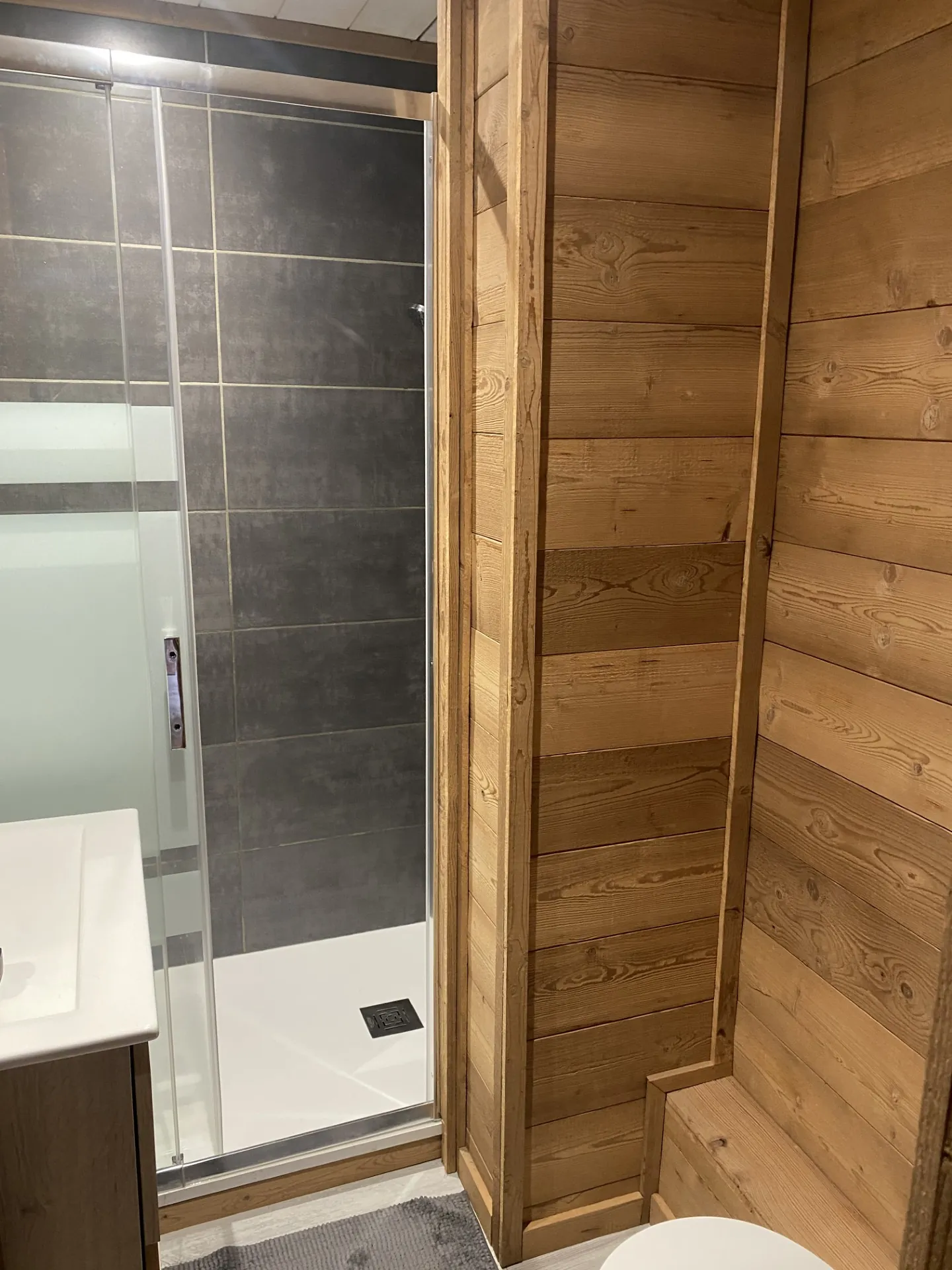 Appartement T3 rénové avec cave à Bolquère (66210) – Vue forêt 