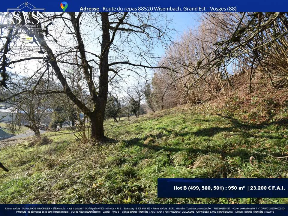 Terrains constructibles à Wisembach (88520) – 1880 m² disponibles 