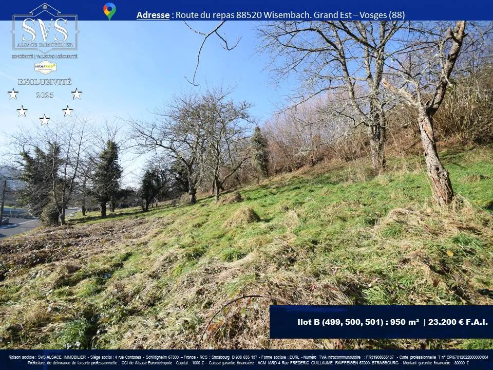 Terrains constructibles à Wisembach (88520) – 1880 m² disponibles 