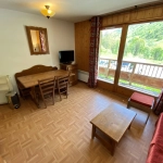 Appartement T2 avec vue dégagée et proximité des pistes à Saint-Sorlin d'Arves