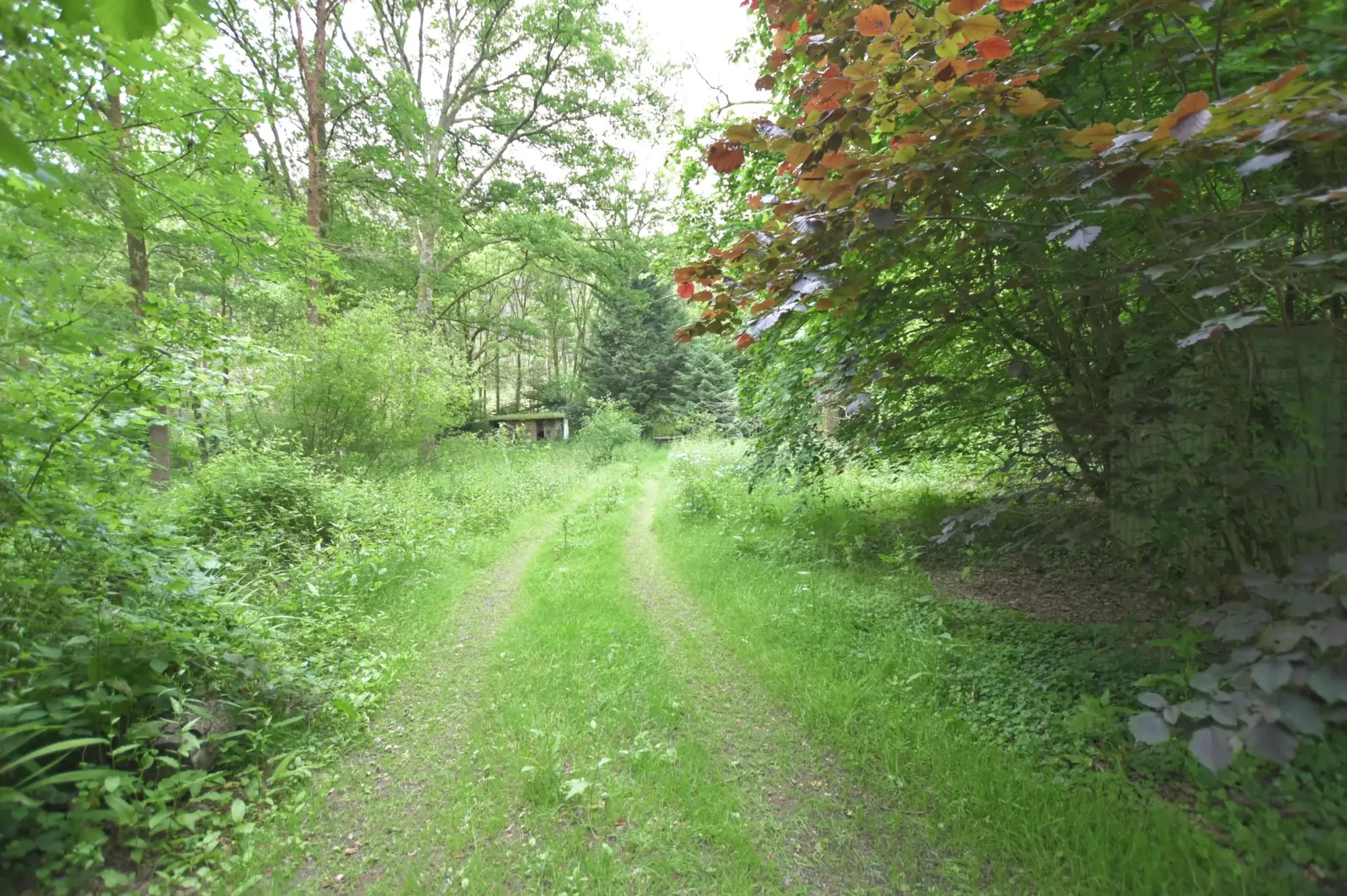 Terrain de loisir avec chalet à Guipry-Messac en bord de Vilaine - Terrain de détente de 1484 m² 