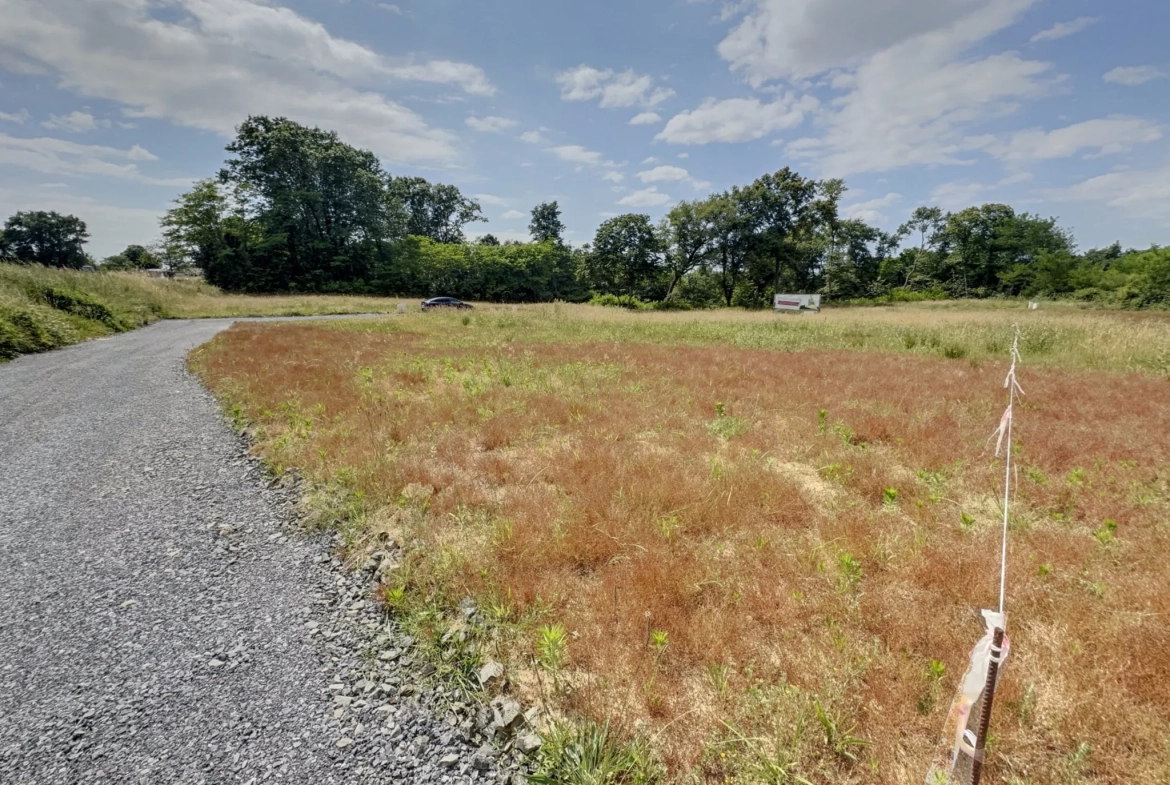 Terrain constructible à Montfort en Chalosse de 1379 m² à vendre pour 51 000 € 