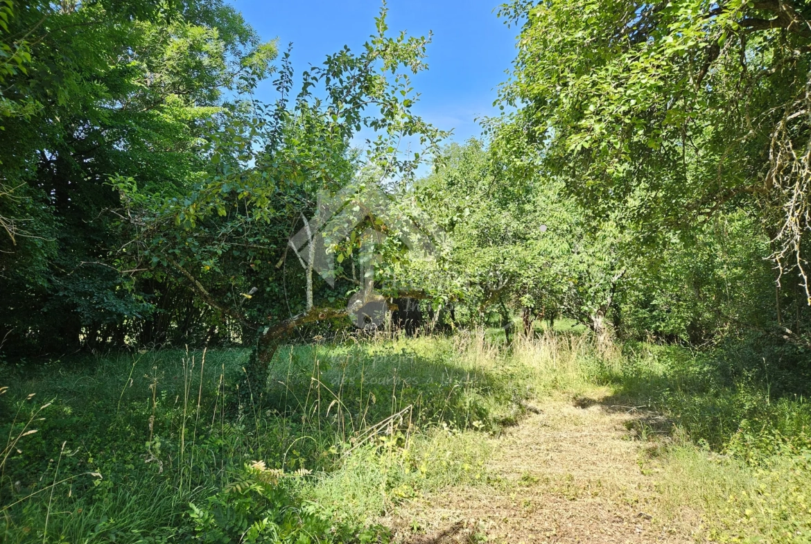 Belle maison familiale avec grand terrain à Cusset, 3 niveaux, 5 chambres 