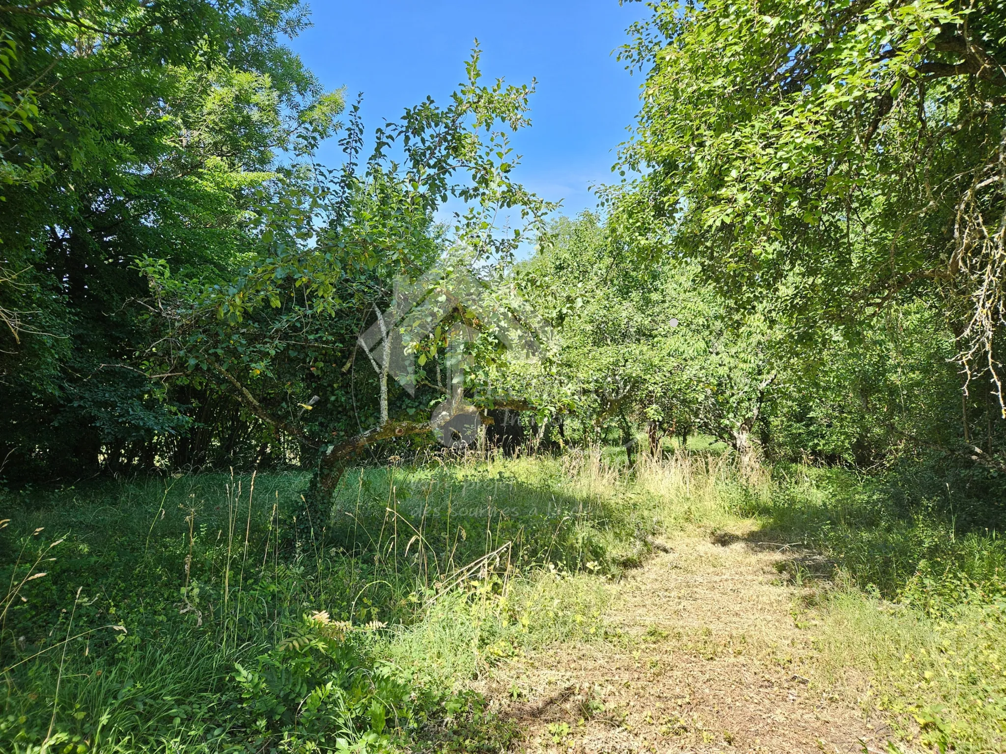Belle maison familiale avec grand terrain à Cusset, 3 niveaux, 5 chambres 