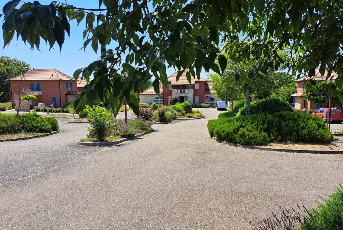 Appartement de 42 m² avec terrasse et piscine à Prayssac 