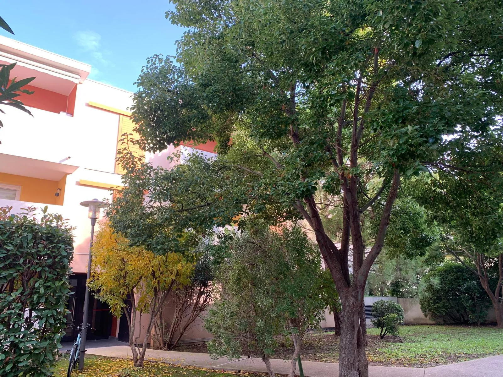 Appartement 3 pièces à vendre à Montpellier Hôpitaux-Facs avec terrasse et parking 