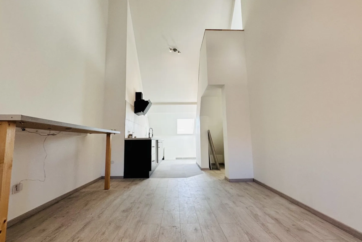 Appartement duplex 75 m2 à Phalsbourg avec 2 chambres en centre-ville 