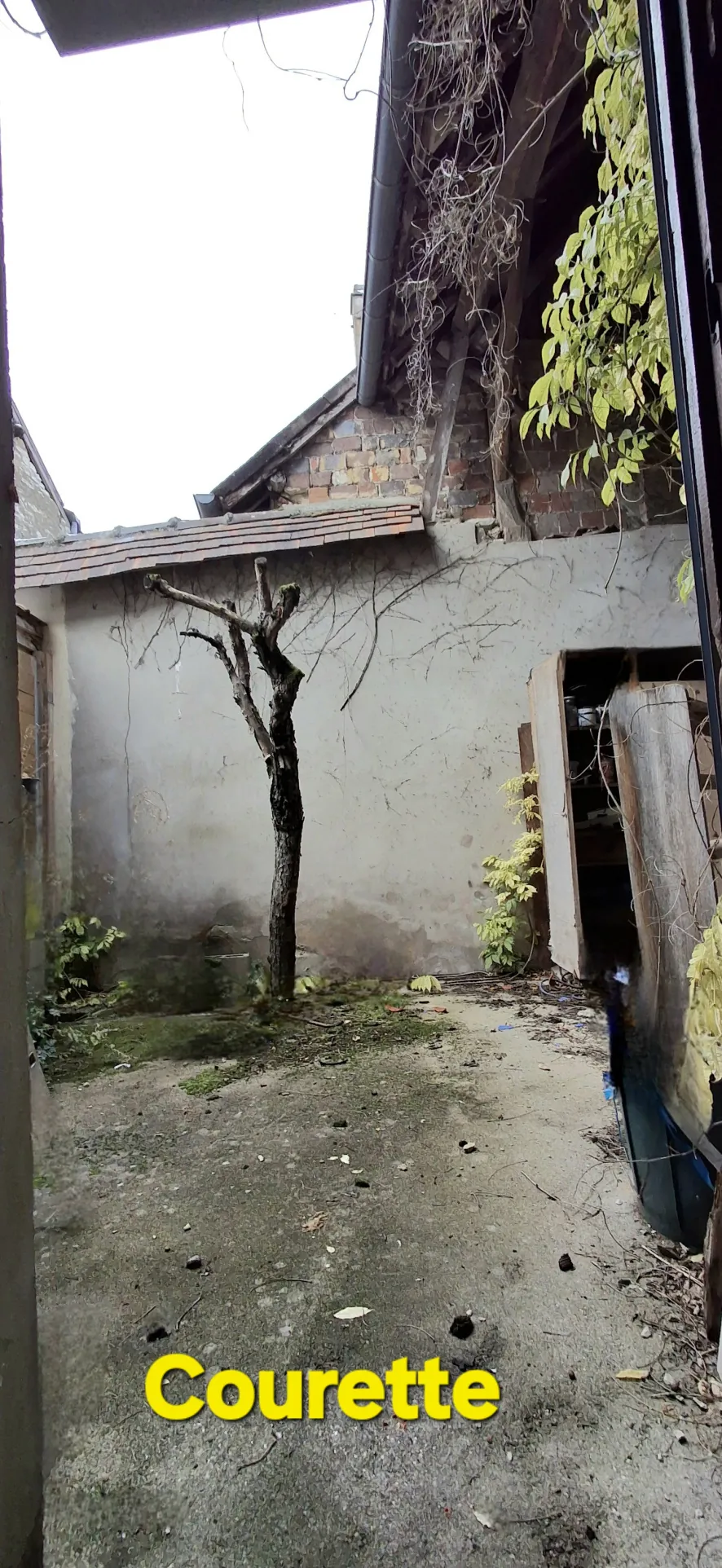 Maison ancienne de 160 m2 à rénover avec vue sur l’église à Aillant-sur-Tholon 