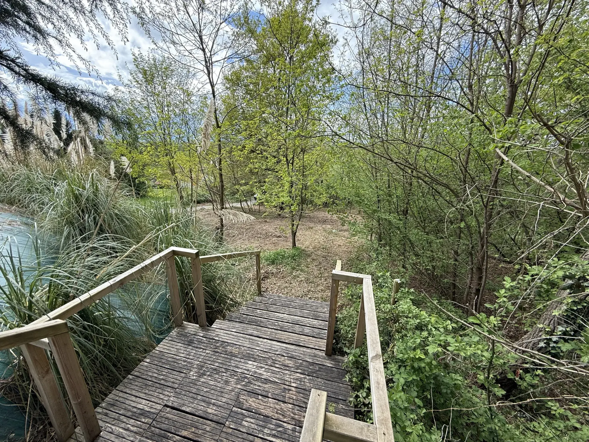 Maison spacieuse à Ris avec vue dégagée et terrain arboré 