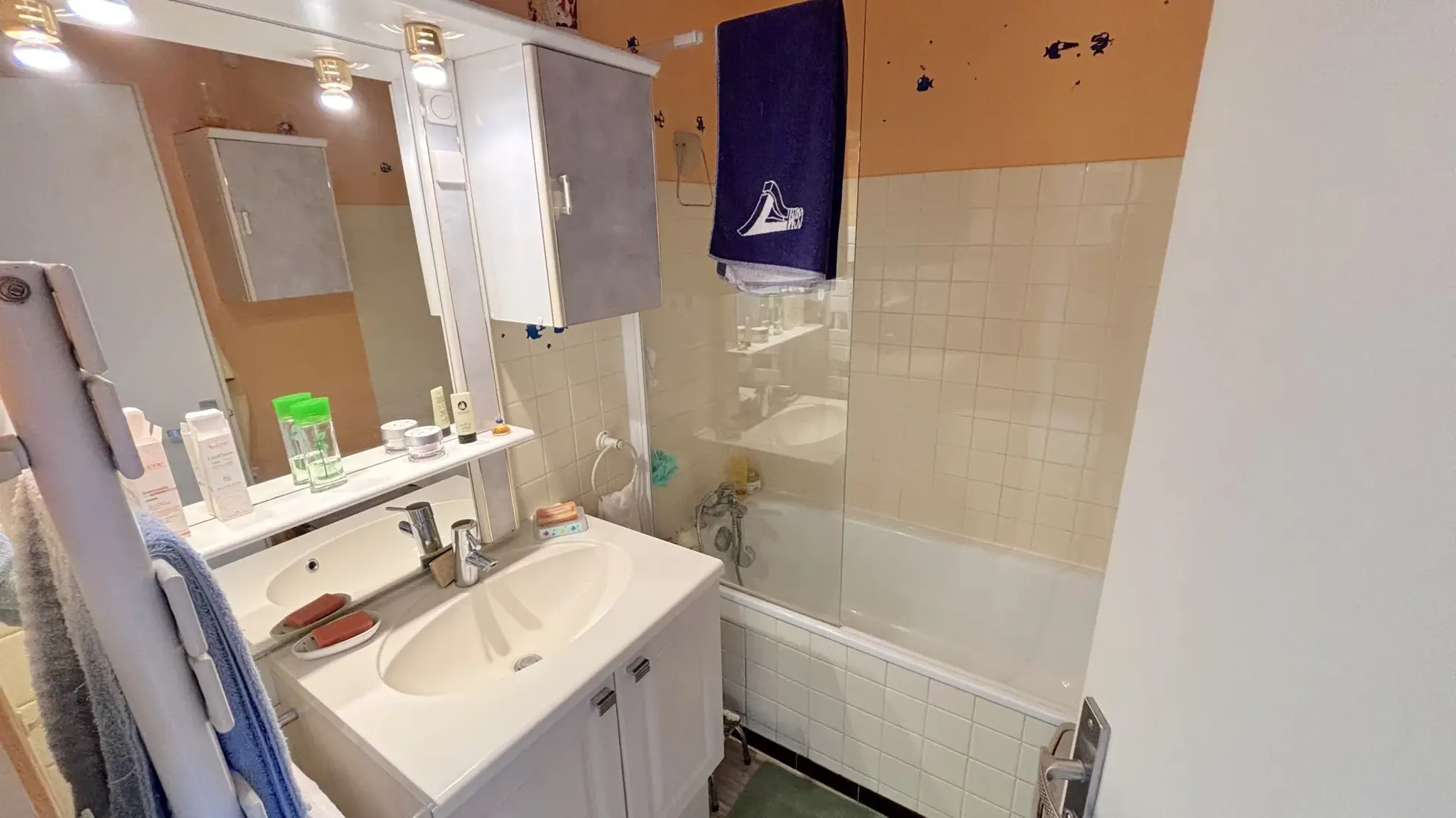 Appartement T2 avec loggia sud et vue mer à Carnon-Plage 