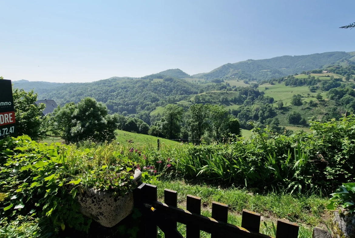 Maison en pierre avec dépendance et vue sur la vallée à St Cirgues de Jordanne 