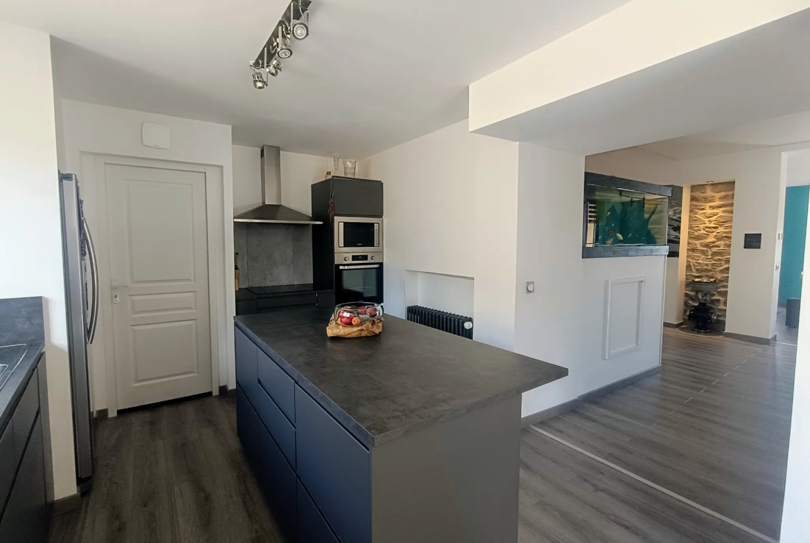 Maison de village avec grande terrasse à Saint Didier en Velay, 177 m² 