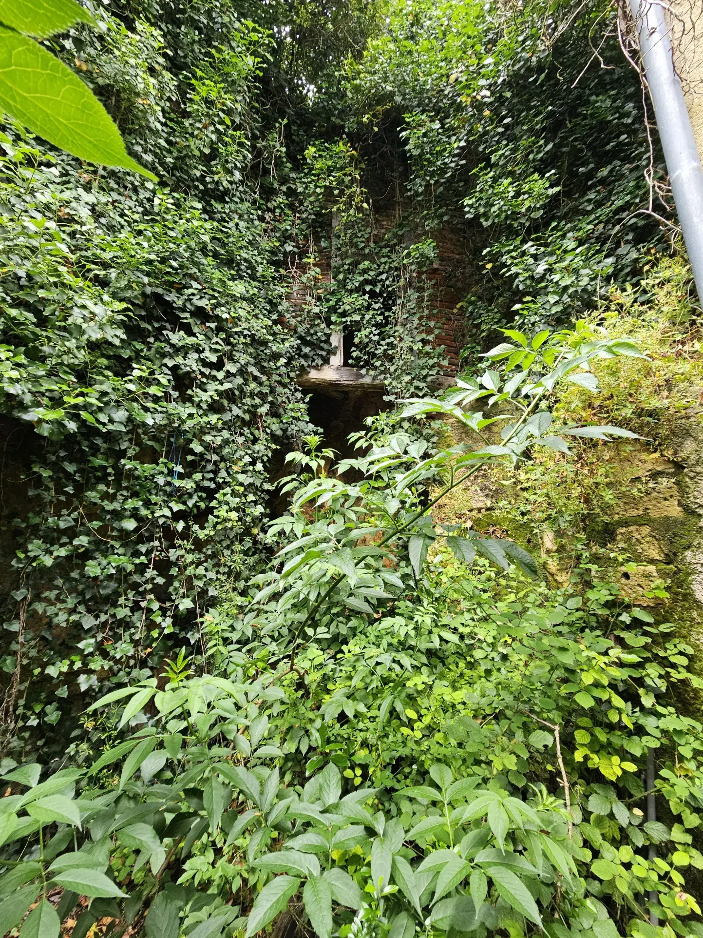 Maison mitoyenne 2 niveaux avec cour à Le Blanc - 93 m² 
