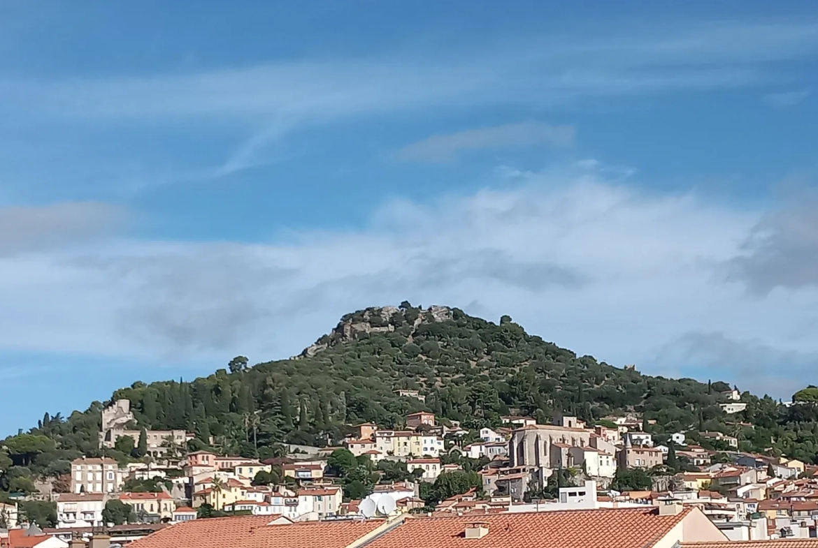 Appartement rénové de 3 pièces à vendre en centre-ville d'Hyeres 