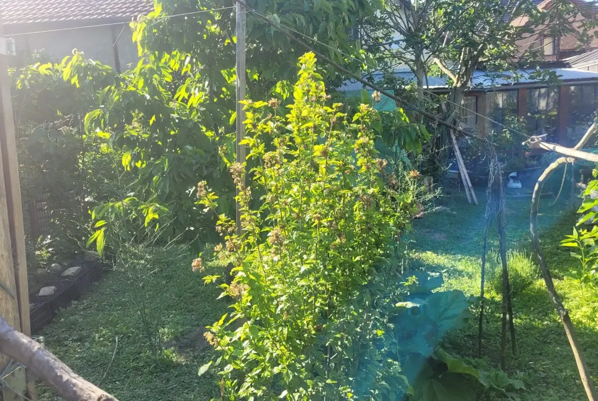 Maison à rénover de 90 m² à Village-Neuf, proche frontière et aéroport 