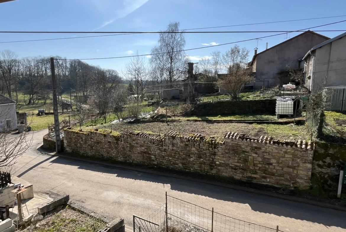 À vendre maison authentique de 156 m² à Colombey-les-Choiseul avec terrasse et volumes généreux 