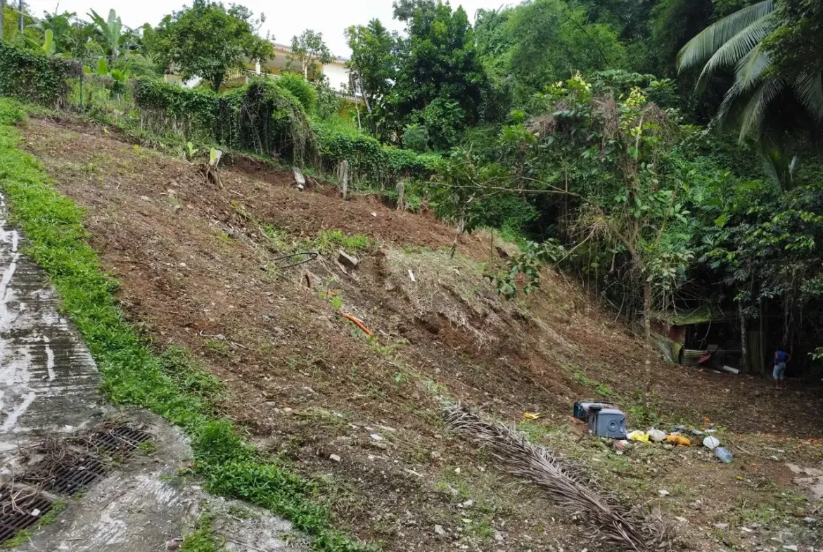 Terrain constructible de 1062 m² à vendre à Fort-de-France, Balata, vue campagne 
